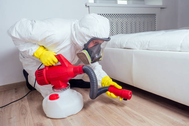 Best Real Estate Pest Inspections  in Belle Chasse, LA